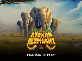 African Elephant
