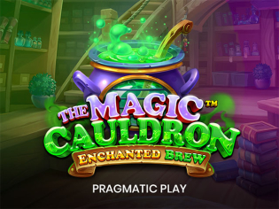 The Magic Cauldron - Enchanted Brew