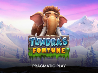 Tundra’s Fortune