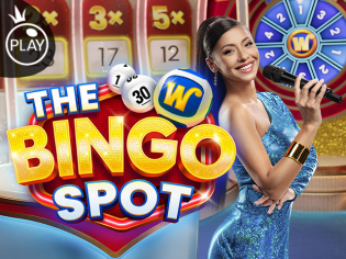 The Bingo Spot