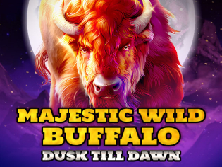 Majestic Wild Buffalo - Dusk Till Dawn