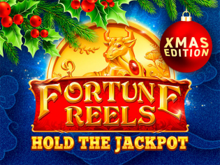 Fortune Reels Xmas