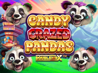 Candy Crazed Pandas DoubleMax